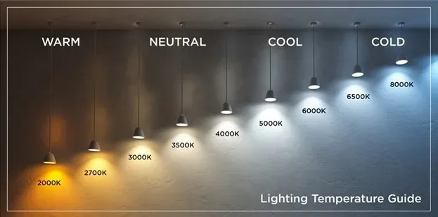 The hidden impact of light: how colour shapes our world