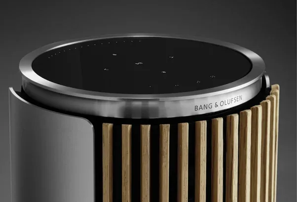 A premium Bang & Olufsen speaker